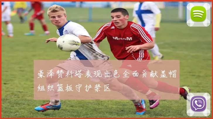 豪泽赞科塔表现出色全面贡献盖帽组织篮板守护禁区