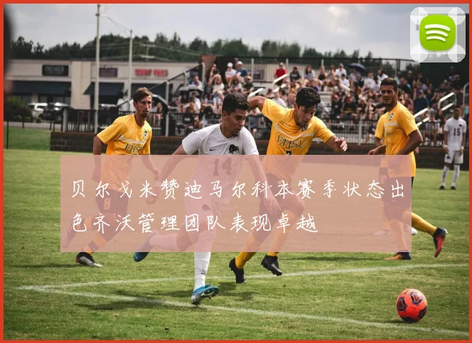 贝尔戈米赞迪马尔科本赛季状态出色齐沃管理团队表现卓越