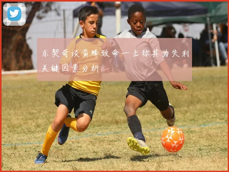 东契奇谈黄蜂致命一击称其为失利关键因素分析